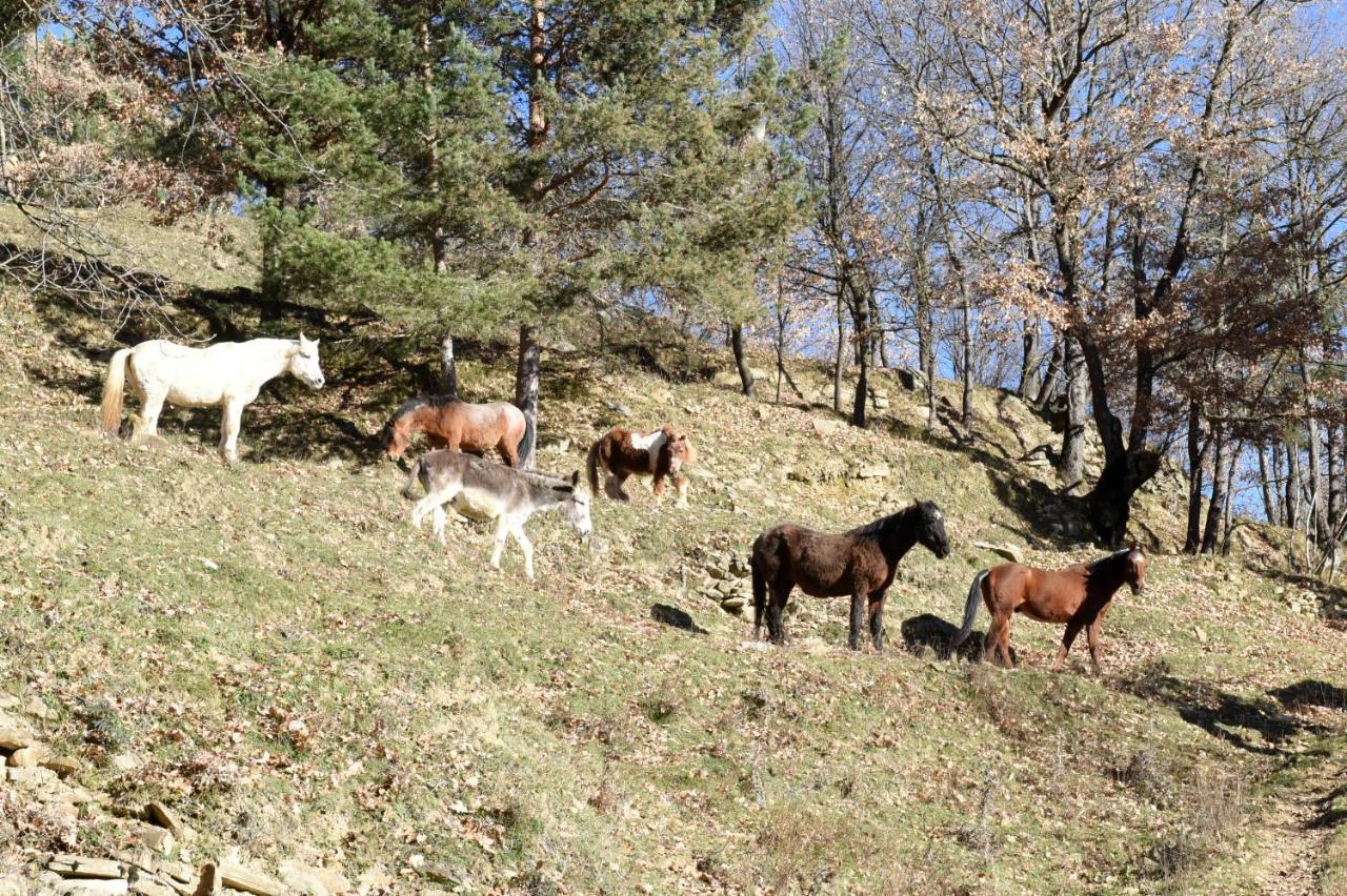 里波尔 Turisme Rural Mas Isoles旅馆 外观 照片