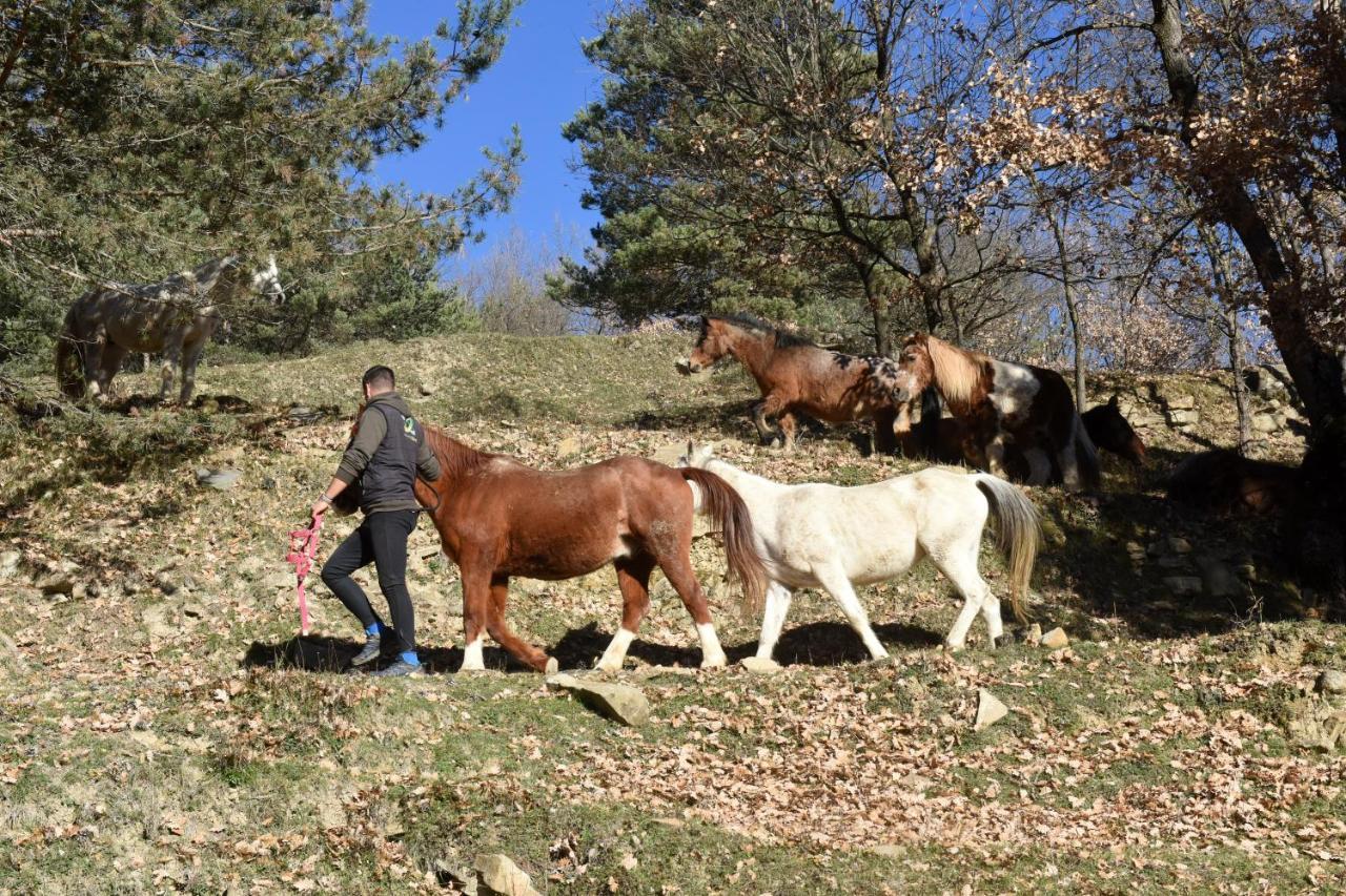 里波尔 Turisme Rural Mas Isoles旅馆 外观 照片